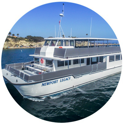 The whale watching tour boat, Newport Legacy, out at sea in the Pacific Ocean.