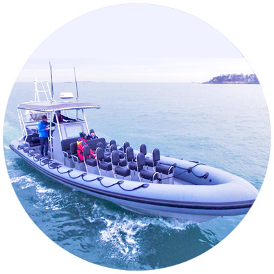 Newport Landing ship, Shearwater, sits in the ocean with its captain and a couple whale watching tourists.