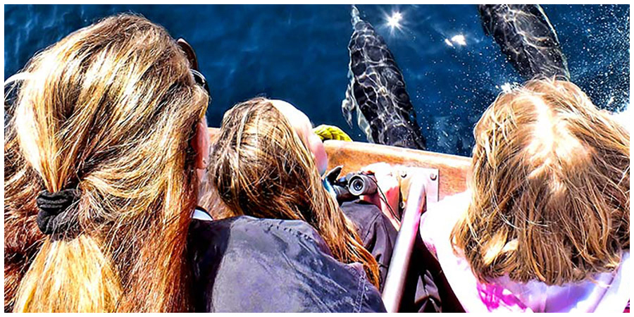  A family watches common dolphins swim under the boat while on a whale watching trip in Newport Beach