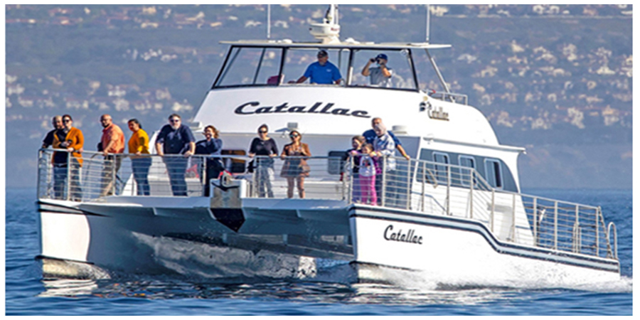 A group of whale watchers pose for a picture on the front of a whale watching boat in Southern California.